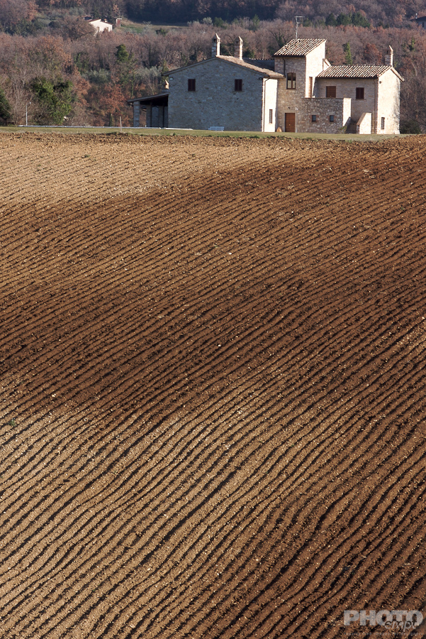 Italy: Agriculture