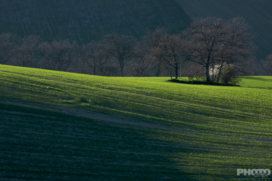 Italy: Agriculture