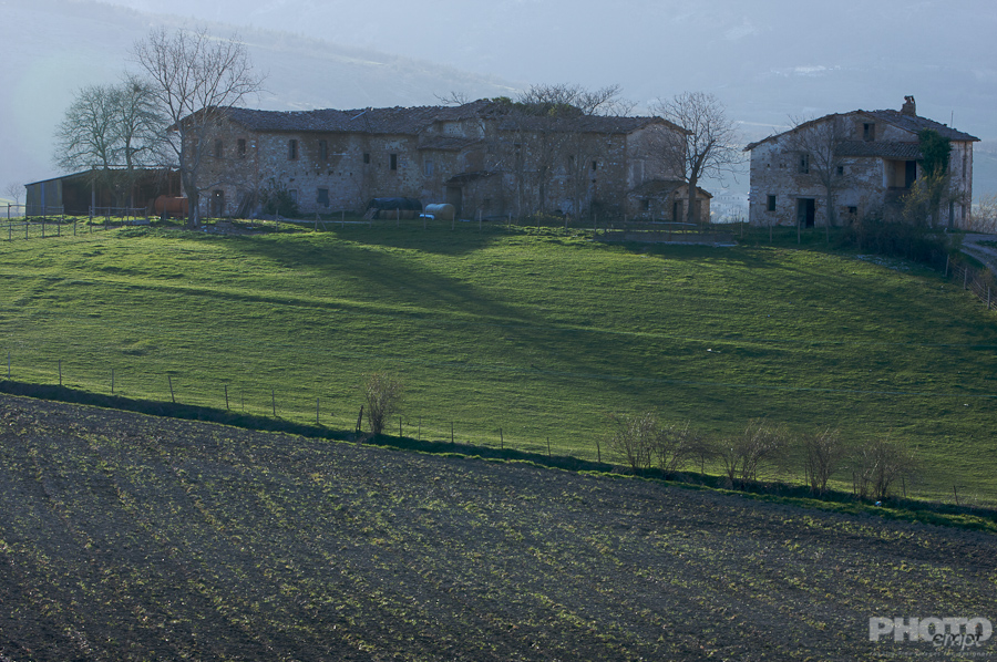 Italy: Agriculture