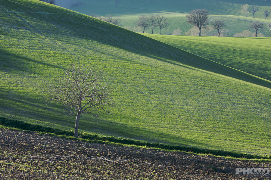 Italy: Agriculture