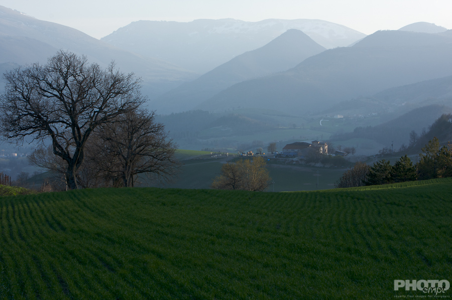 Italy: Agriculture