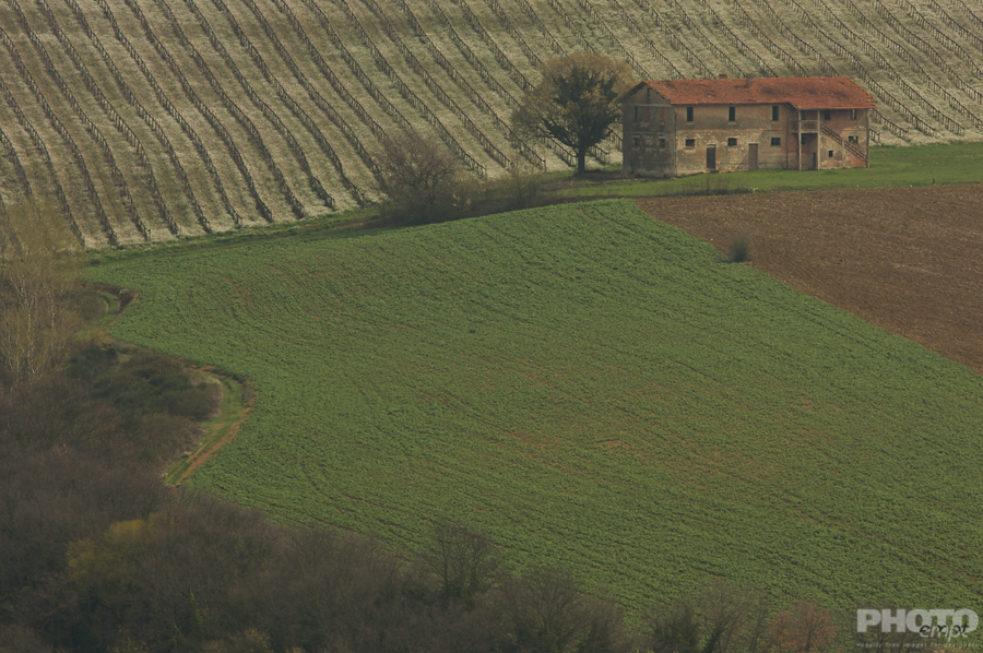 Italy: Agriculture
