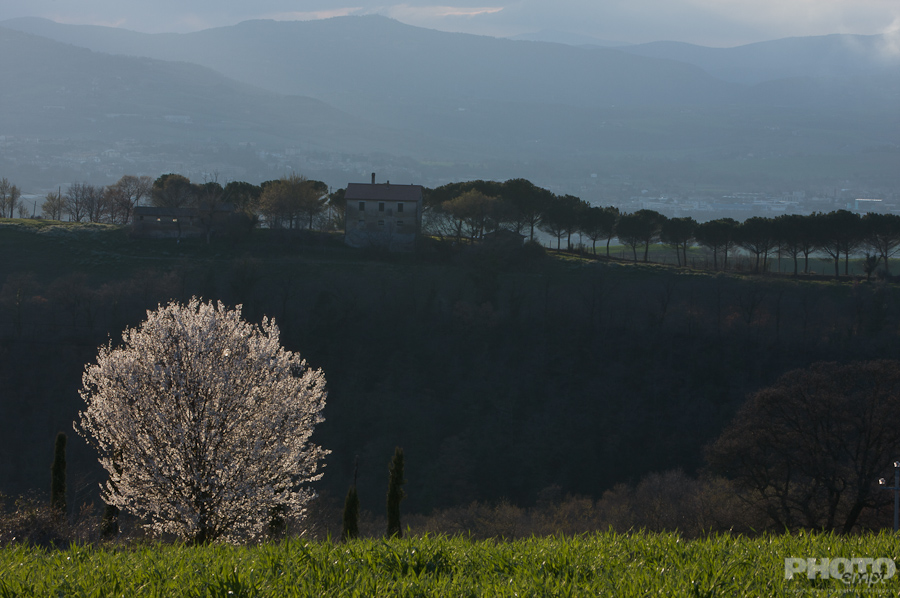 Italy: Umbria Landscapes