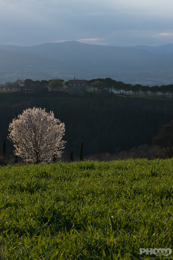 Italy: Umbria Landscapes