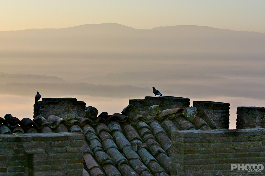 Italy: Umbria Landscapes
