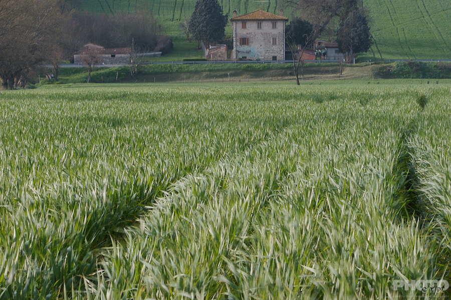 Italy: Agriculture