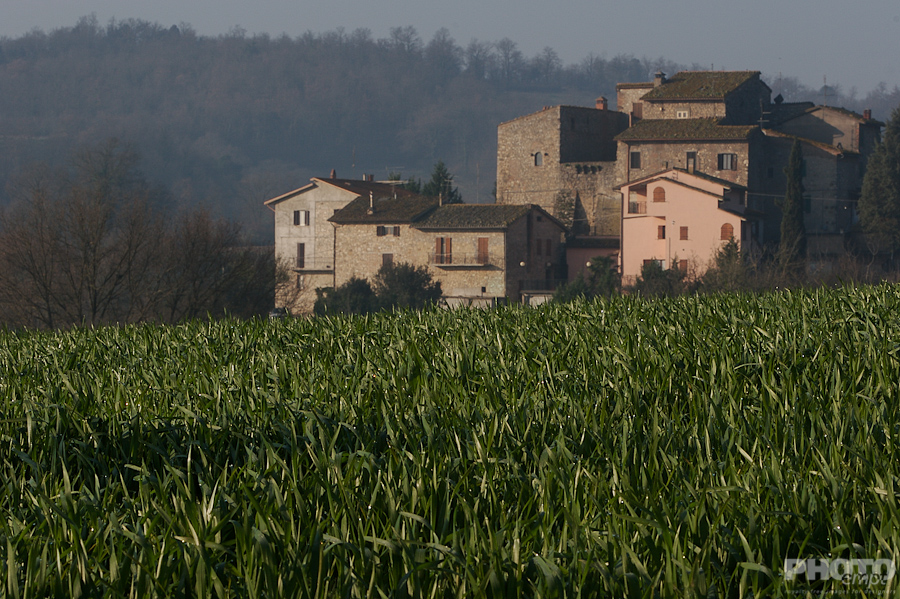 Italy: Agriculture
