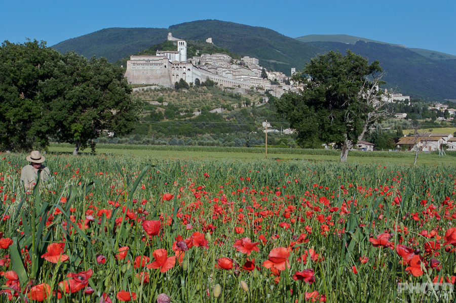 Italy: Umbria Landscapes