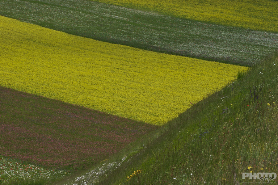Italy: Agriculture