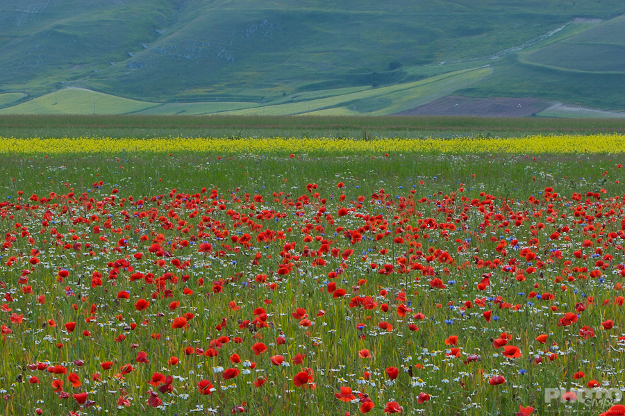 Italy: Umbria Landscapes