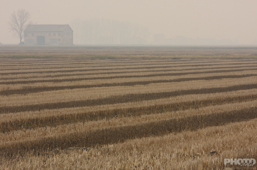 Italy: Agriculture