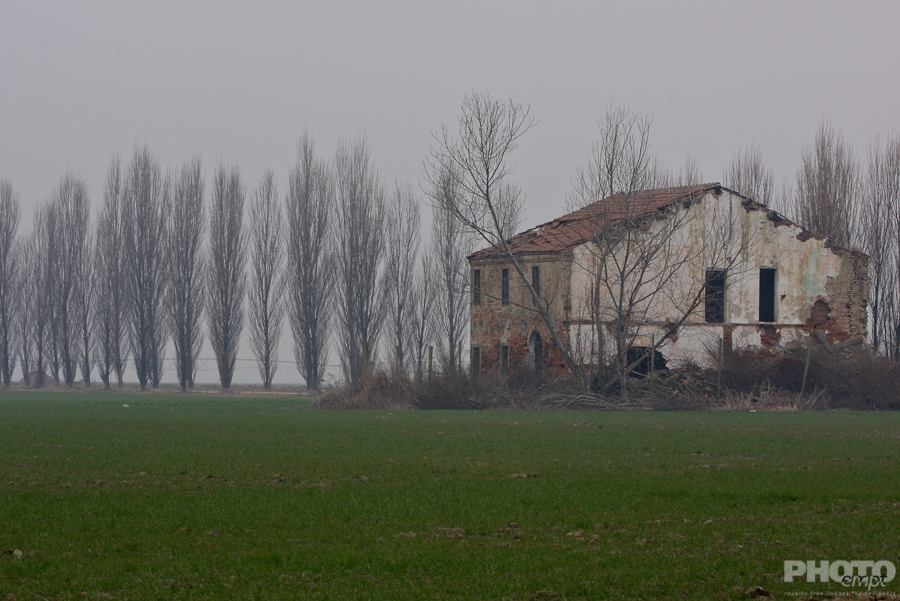 Italy: Agriculture