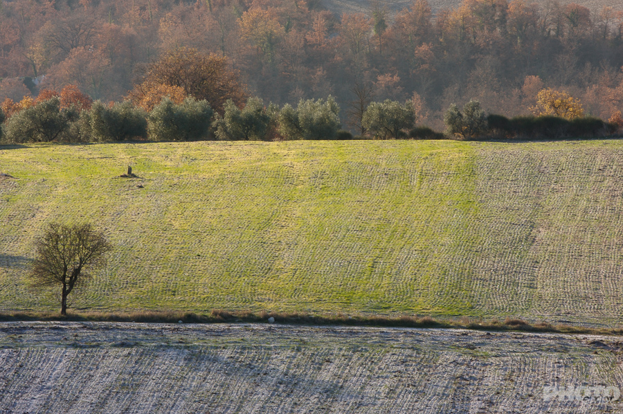 Italy: Winter in Umbria