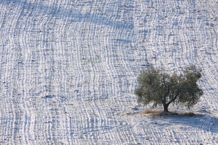 Italy: Winter in Umbria