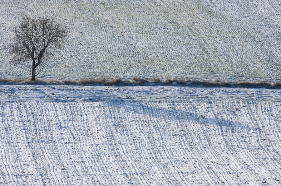 Italy: Winter in Umbria