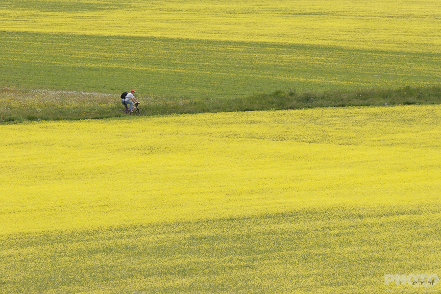 Italy: Umbria Landscapes