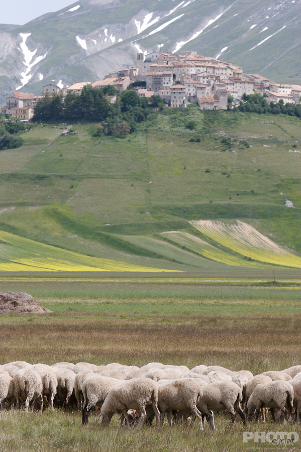 Italy: Umbria Landscapes