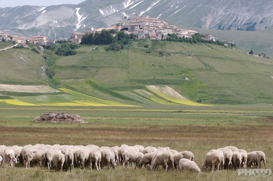 Italy: Umbria Landscapes