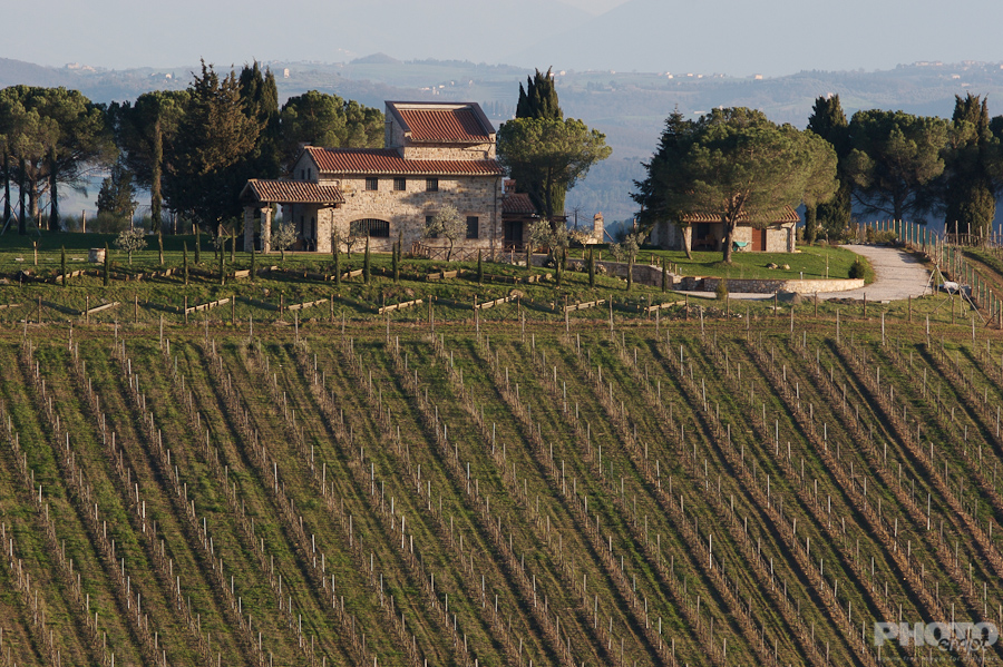 Italy: Agriculture