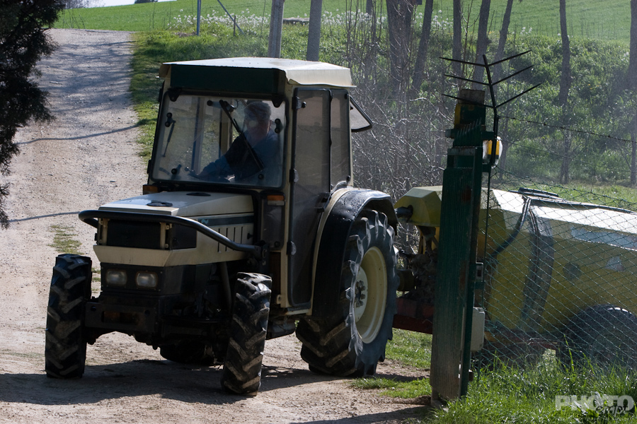 Italy: Agriculture
