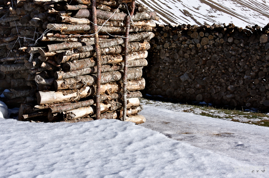 Italy: Agriculture