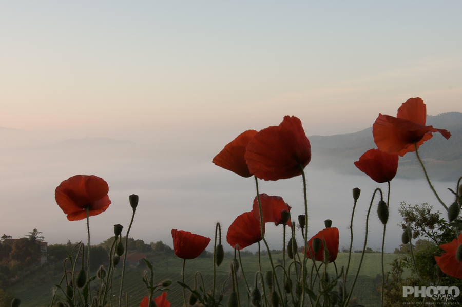 Italy: Umbria Landscapes