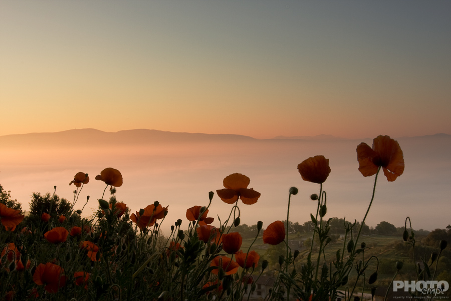 Italy: Umbria Landscapes