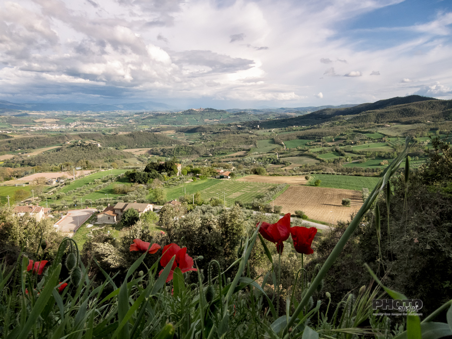 Umbrian Spring, Italy