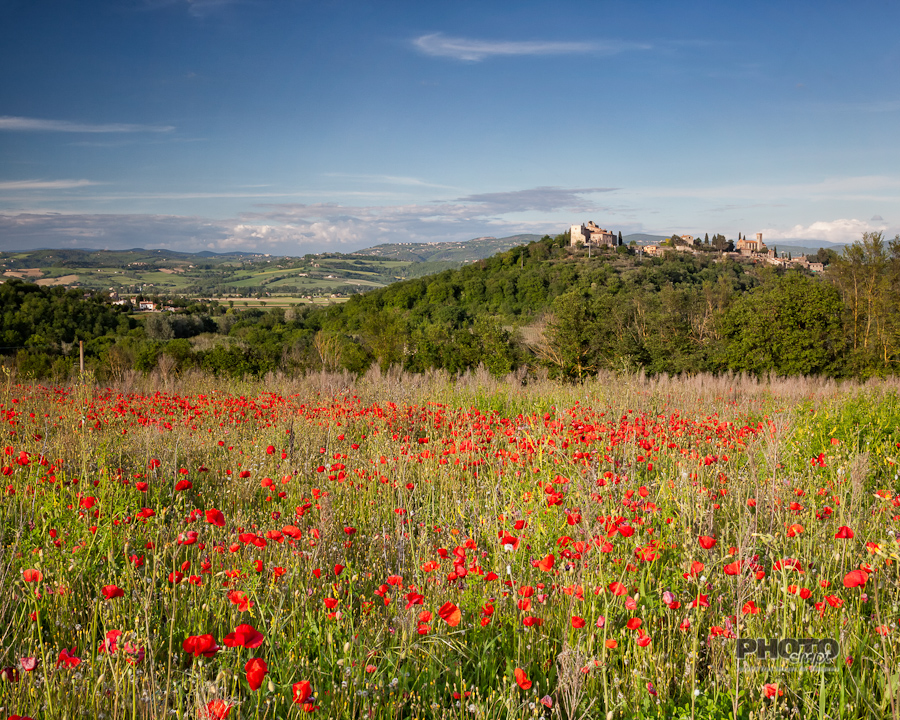 Umbrian Spring, Italy