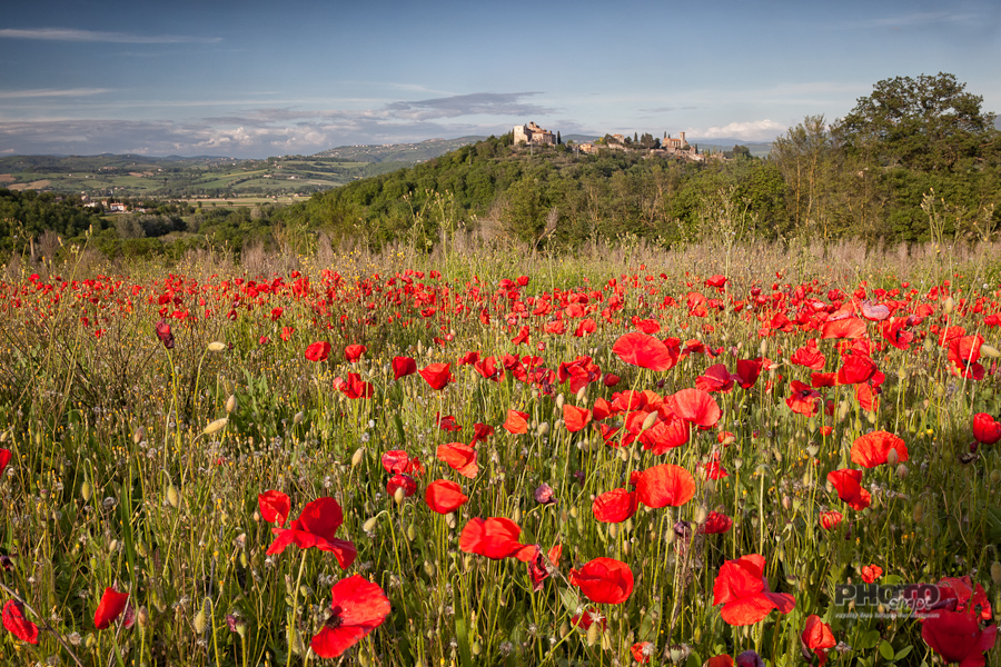 Umbrian Spring, Italy