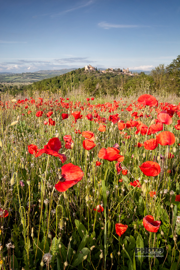Umbrian Spring, Italy