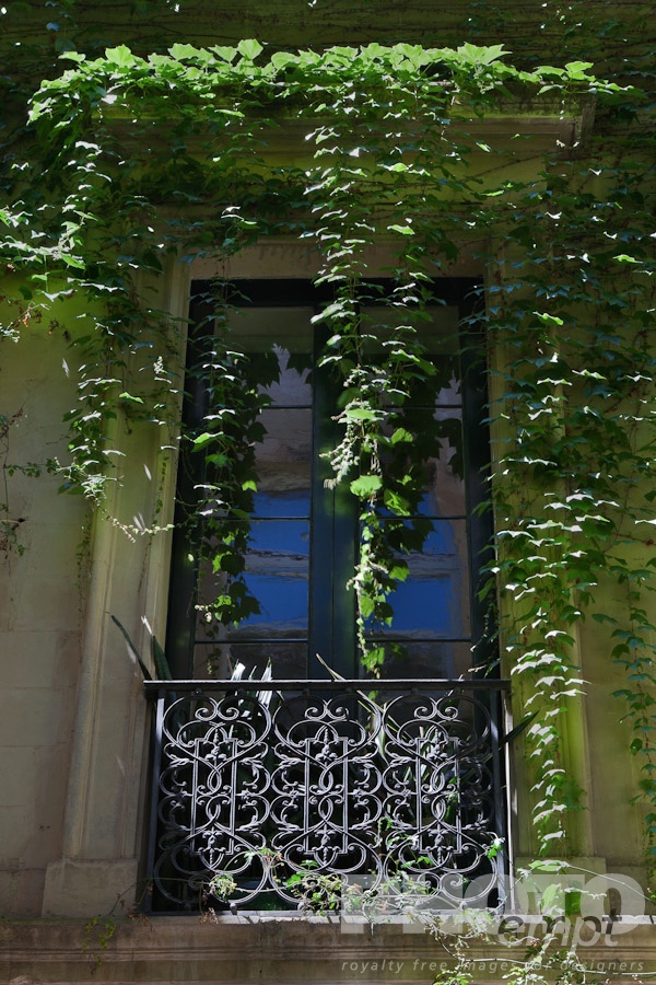 Italy South - Puglia. . . . . Window detail: ornate black wrought iron balcony  with French window closed. reflection of building and blue sky in glass, surrounded by hanging ivy in morning sunshine, Lecce, Salento, Puglia, Southern Italy