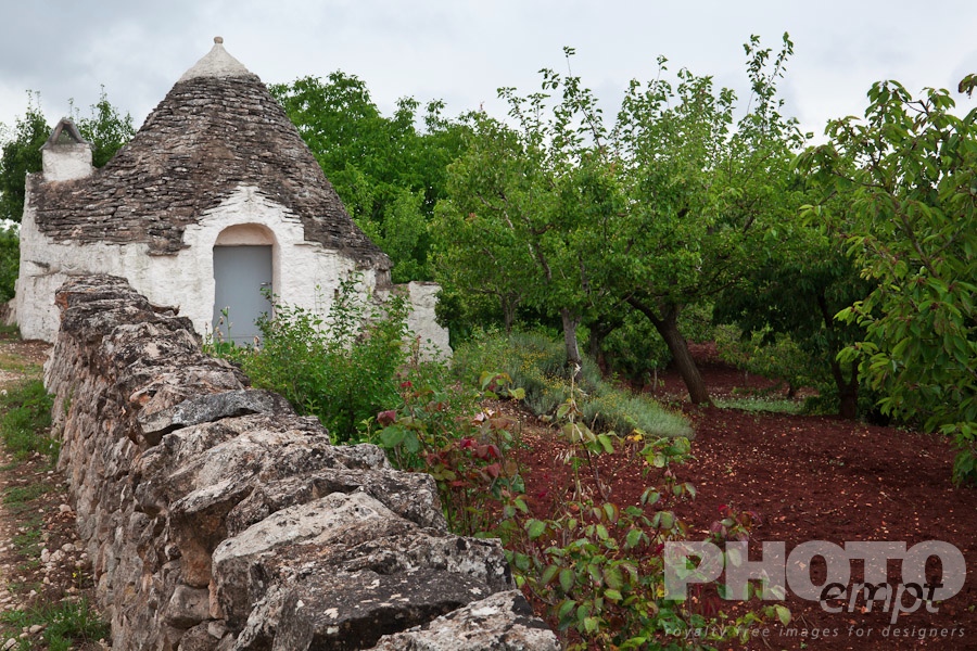 Italy South - Puglia. . . . . Trullo: traditional house of uncemented stones, with conical roof, stone wall beside orchard with red ploughed soil in foreground, calm spring afternoon, Locorotondo,  Puglia, Southern Italy