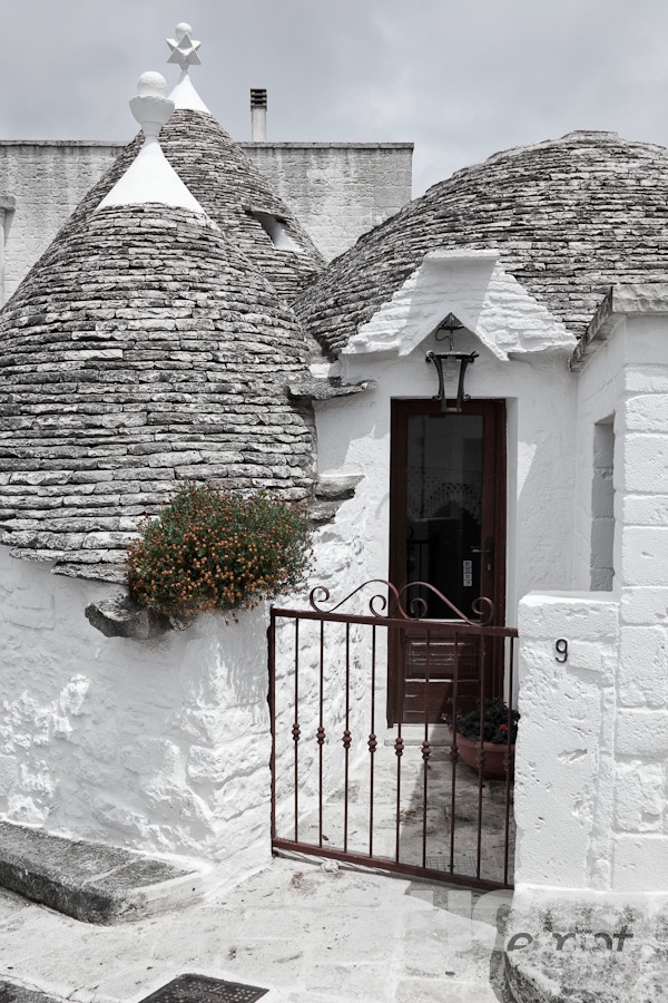 Italy South - Puglia. . . . . Street view: town of Alberobello, World Heritage site, with trullo house, white painted stone with piled stone conical roofs, wrought iron gate leading to front door, flowering green rockplant set against monochrome view,  Puglia, Southern Italy