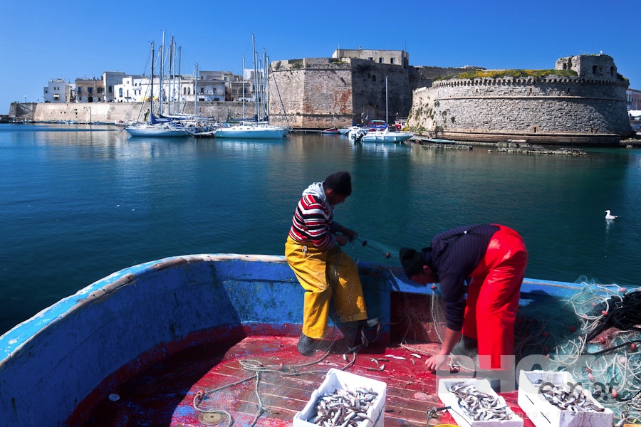 Italy South - Puglia. . . . . Brightly dressed fishermen emptying nets on old wooden fishing boat in harbour, with sailboats moored beneath medieval stone walls of Gallipoli, sunny spring morning with blue sky, Salento, Puglia, Southern Italy