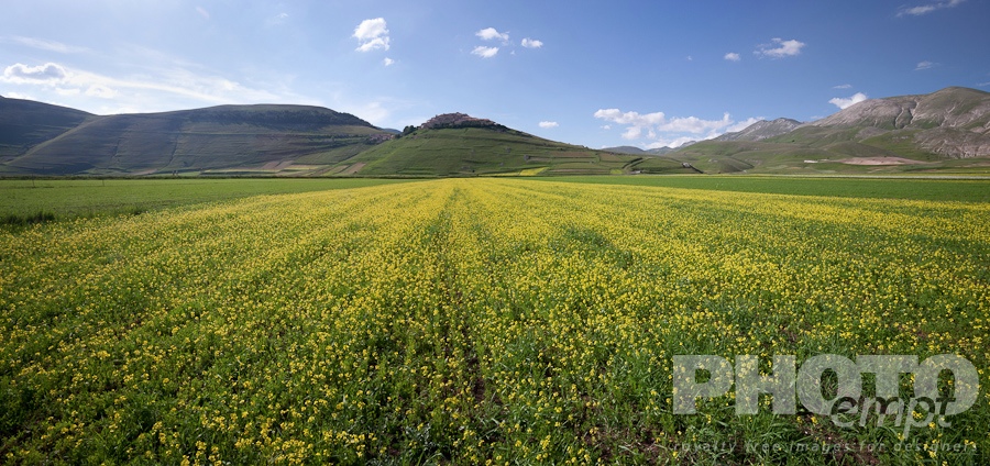 Umbria Landscape