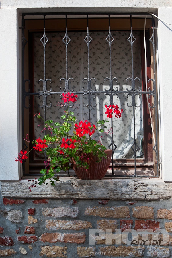 Venice in Autumn. . . . . Detail of window with ornate wrought iron grille and curtain, red brickwork wall beneath vase of red geraniums, sunny autumn morning in Venice, Northern Italy