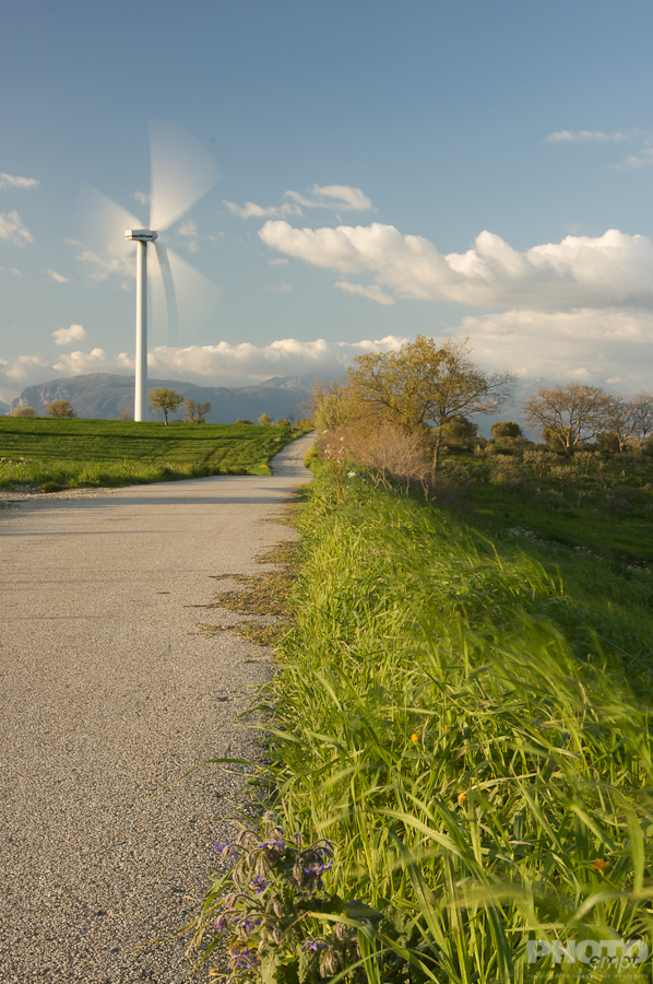 Environment