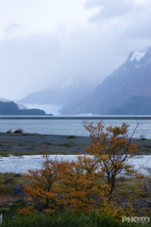 Patagonia