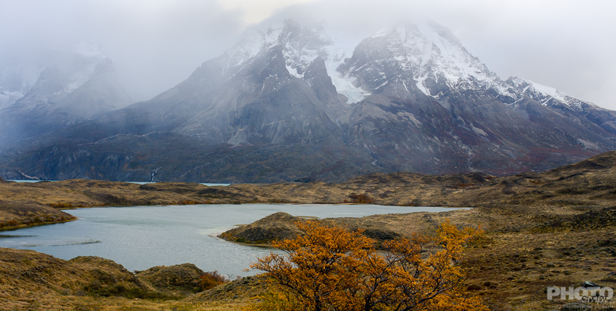Patagonia