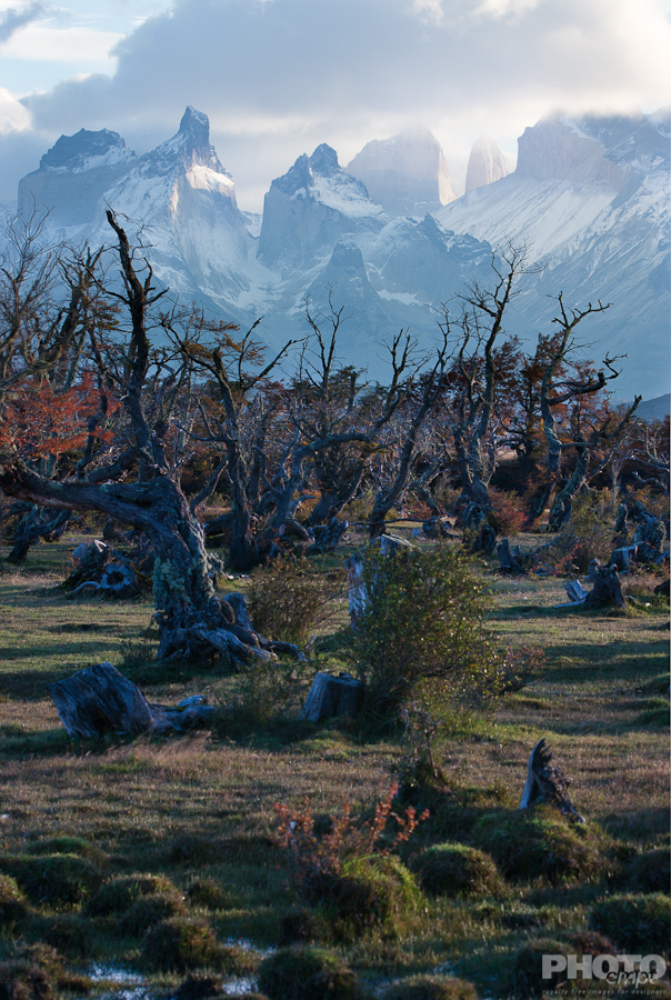 Patagonia