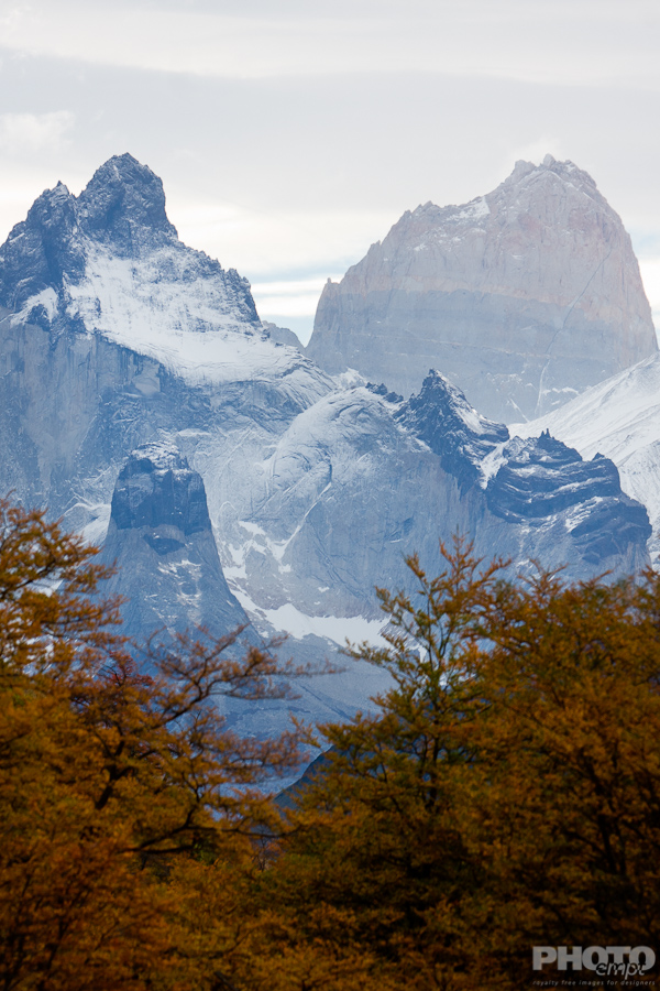 Patagonia