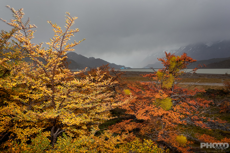 Patagonia