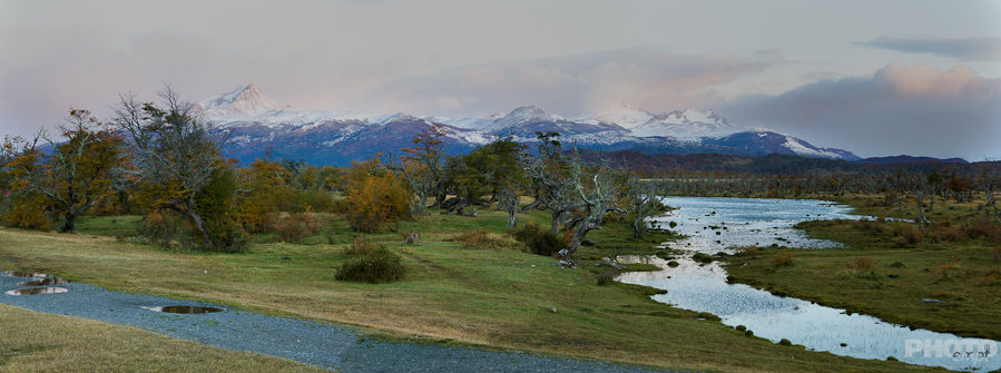 Patagonia