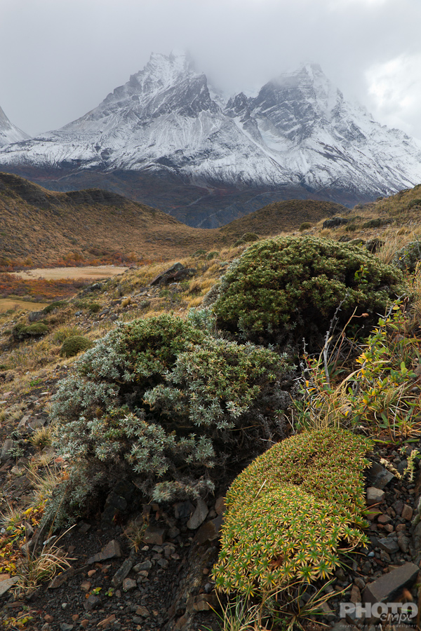 Patagonia