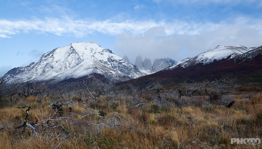 Patagonia