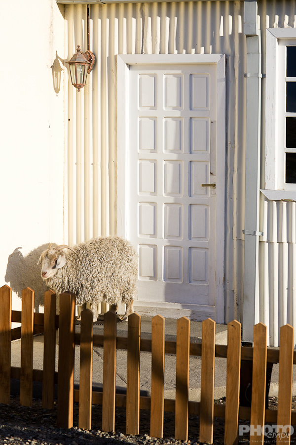 Doors and Windows