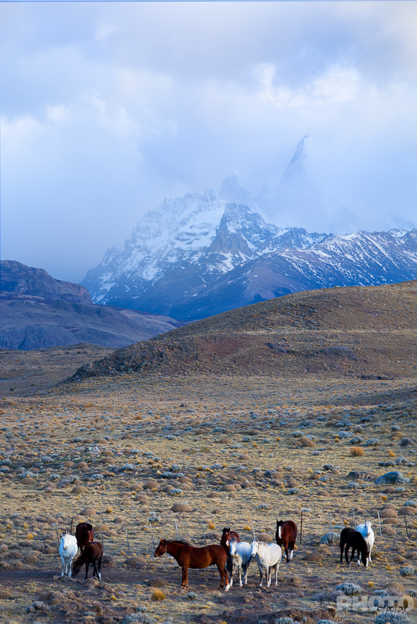 Patagonia