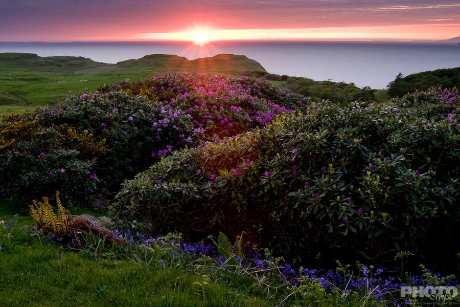 Great Britain: Isle of Mull