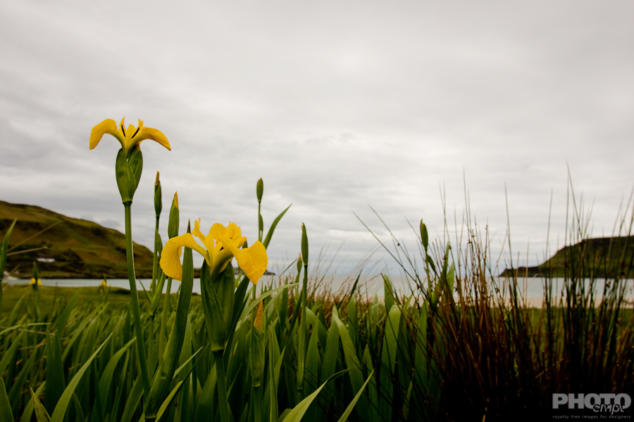 Great Britain: Isle of Mull